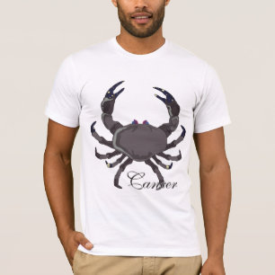 Starlight Cancer Apparel T-shirt