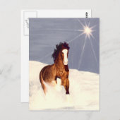 Starlight Run Briefkaart (Voorkant / Achterkant)