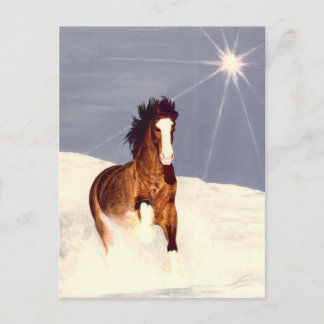 Starlight Run Briefkaart