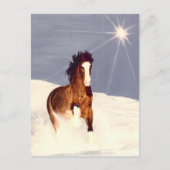 Starlight Run Briefkaart (Voorkant)