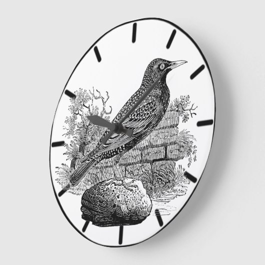 Starling British Bird Grande Horloge (Angle)