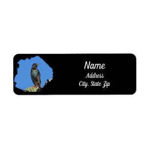 Starling Saguaro Cactus Beauful Southwest Bird Etiket