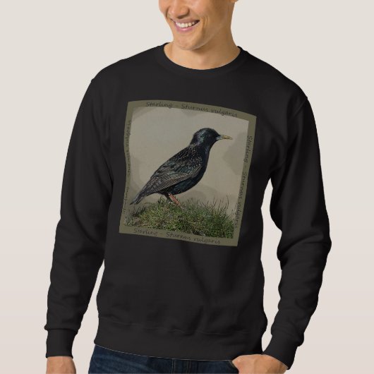 Starling Sweatshirt (Voorkant)