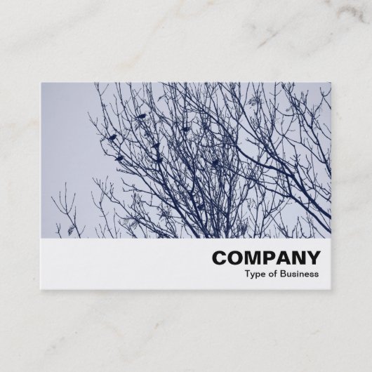 Starlings in een boom visitekaartje (Voorkant)