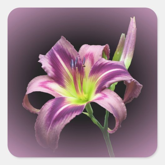 Starman's Quest - Sticker Carré diurne (Devant)