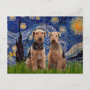 Starnacht - Airedale Terriers (twee) Briefkaart