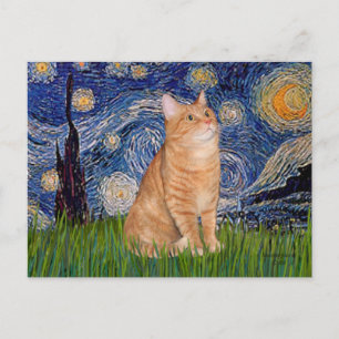 Starnacht - Oranje Tabby 46 Briefkaart