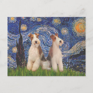 Starnacht - Twee Wire Fox Terriërs Briefkaart