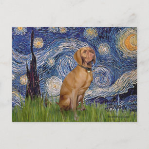 Starnacht - -Vizsla 2 Briefkaart
