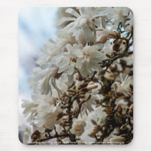 Starry Magnolia 5781 Muismat