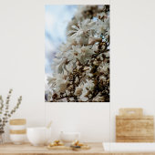 Starry Magnolia 5781 Poster (Keuken)