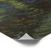 Starry Night Over the Rhone PostImpressont Poster (Hoek)