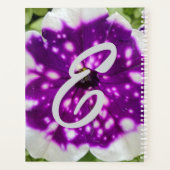 Starry Night Petunia (Dos)