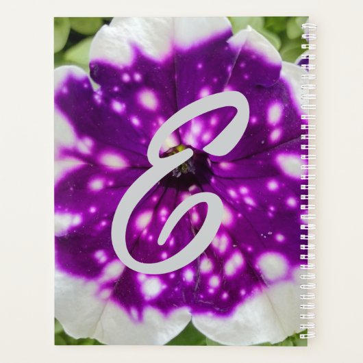 Starry Night Petunia (Dos)