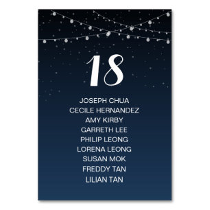 Starry Night Rustic Mariage Carte de siège