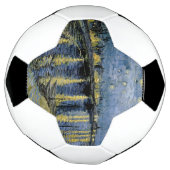 Starry Night Vincent van Gogh (Tourné)