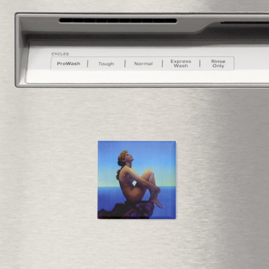 Stars Magnet (In Situ (Lave-vaisselle))