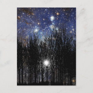 Starscape & Trees - Carte postale