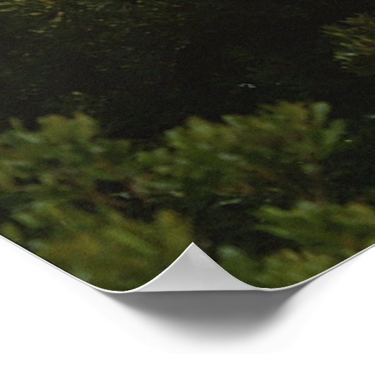 Start Space Shuttle Poster (Hoek)