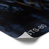 Start van de Space Shuttle STS-80 Poster (Hoek)