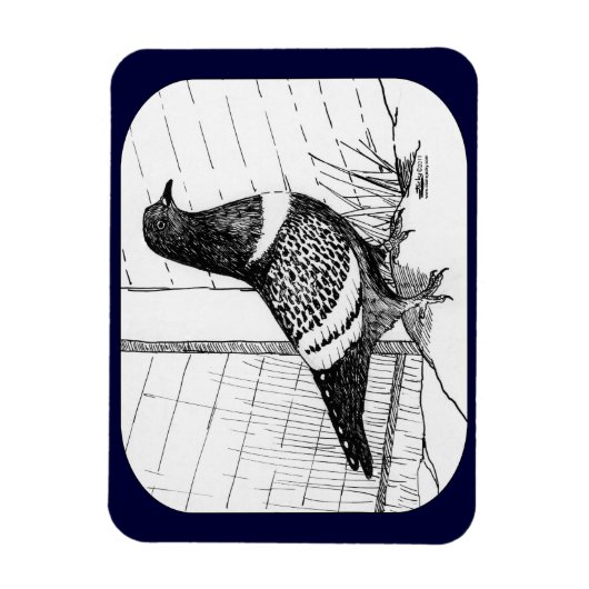 Startduif 1973 magneet (Verticaal)