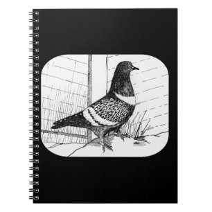 Startduif 1973 notitieboek