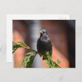 Starten Briefkaart (Voorkant / Achterkant)