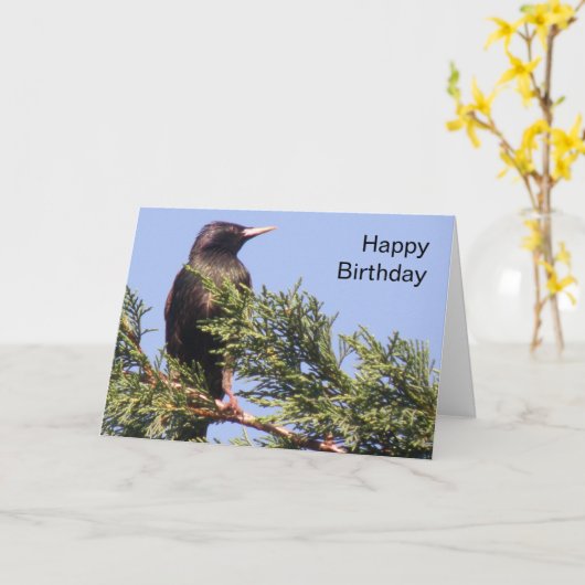 Starter dans un arbre d'épinette Carte d'anniversa (Fleur jaune)