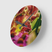 "Startle" Daylily  Ronde Klok (Hoek)