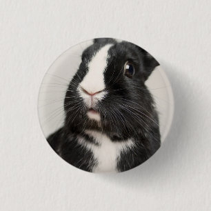 Startled Black and White Bunny Rabbit Ronde Button 3,2 Cm