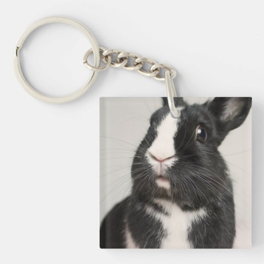 Startled Black and White Bunny Rabbit Sleutelhanger (Voorkant)