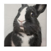 Startled Black and White Bunny Rabbit Tegeltje (Voorkant)