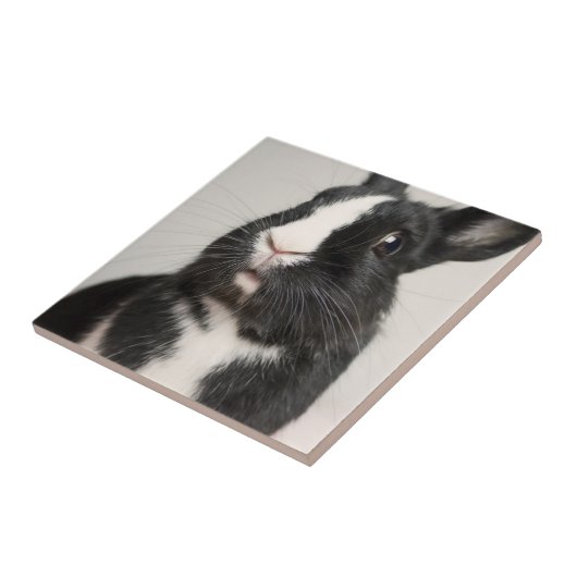 Startled Black and White Bunny Rabbit Tegeltje (Zijkant)