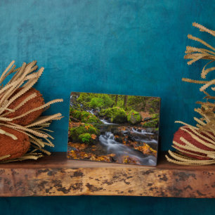 Starvation Creek Herfsten   Columbia Gorge, Oregon Fotoplaat