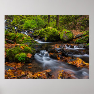 Starvation Creek Herfsten   Columbia Gorge, Oregon Poster