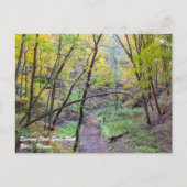 Starved Rock Briefkaart (Voorkant)