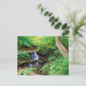 Starved Rock Park Briefkaart (Staand voorkant)