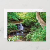 Starved Rock Park Briefkaart (Voorkant / Achterkant)