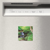 Starved Rock Park Magneet (Insitu (Vaatwasser))