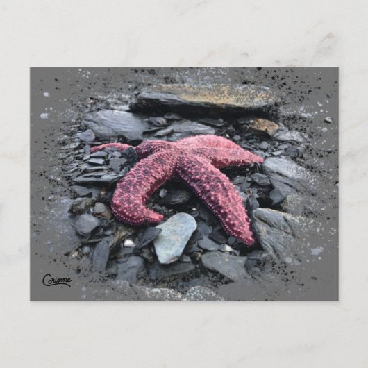 Starvis - Briefkaart (Voorkant)
