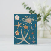 Starvis Briefkaart (Staand voorkant)