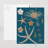 Starvis Briefkaart (Voorkant / Achterkant)