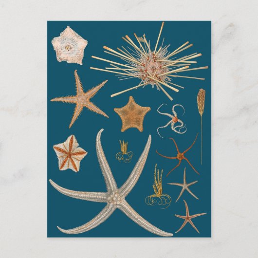 Starvis Briefkaart (Voorkant)