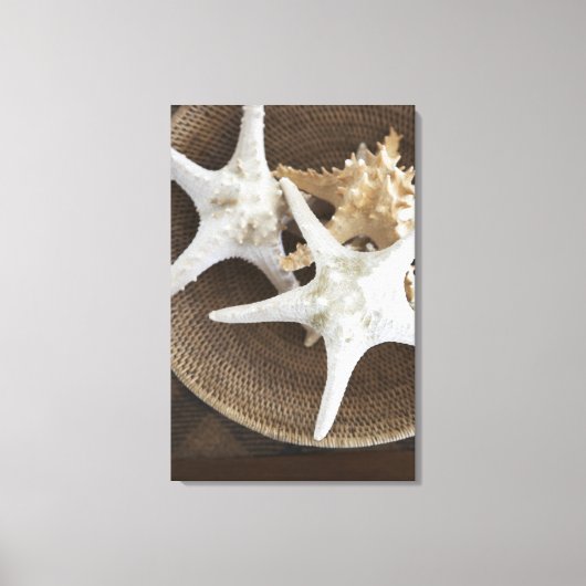 Starvis in een mand canvas afdruk (Voorkant)