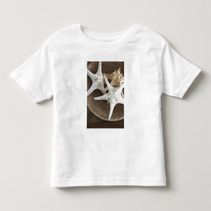Starvis in een mand kinder shirts