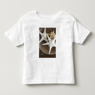 Starvis in een mand kinder shirts