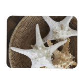 Starvis in een mand magneet (Horizontaal)