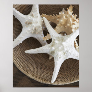 Starvis in een mand poster