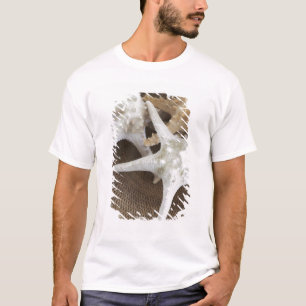 Starvis in een mand t-shirt