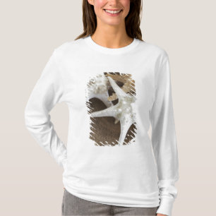 Starvis in een mand t-shirt